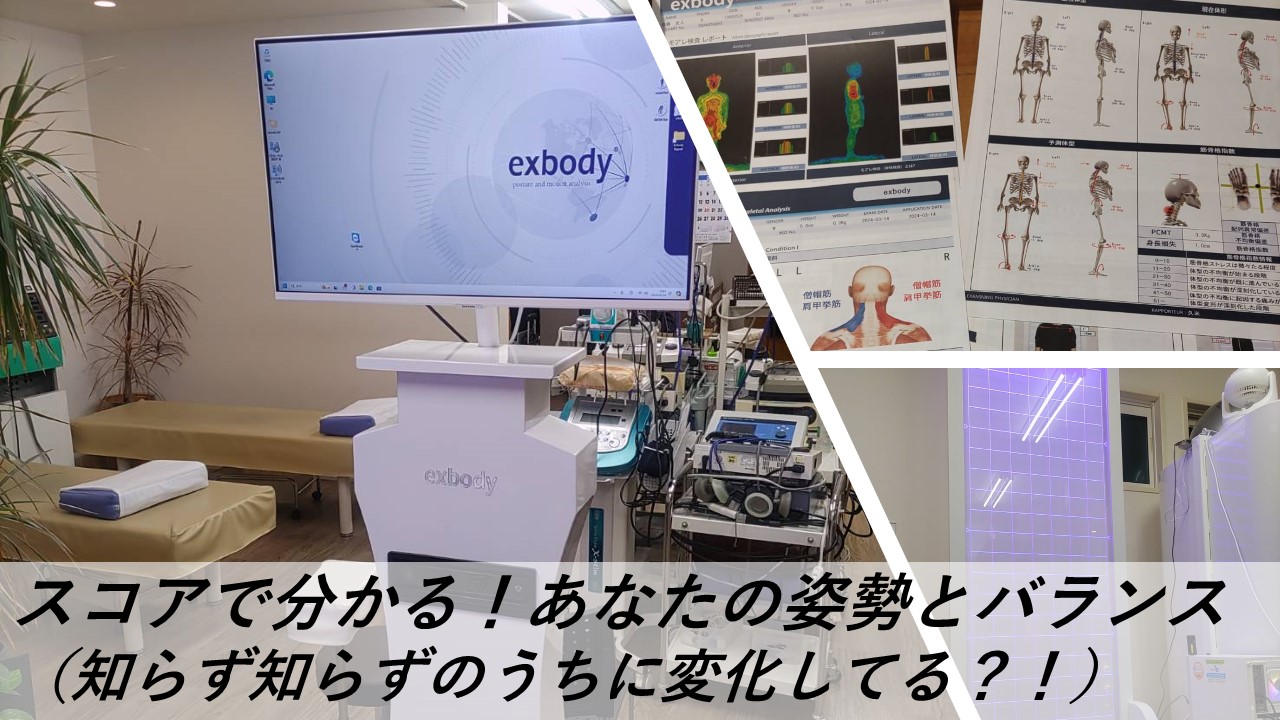 exbody評価 - 三の沢スポーツ接骨院